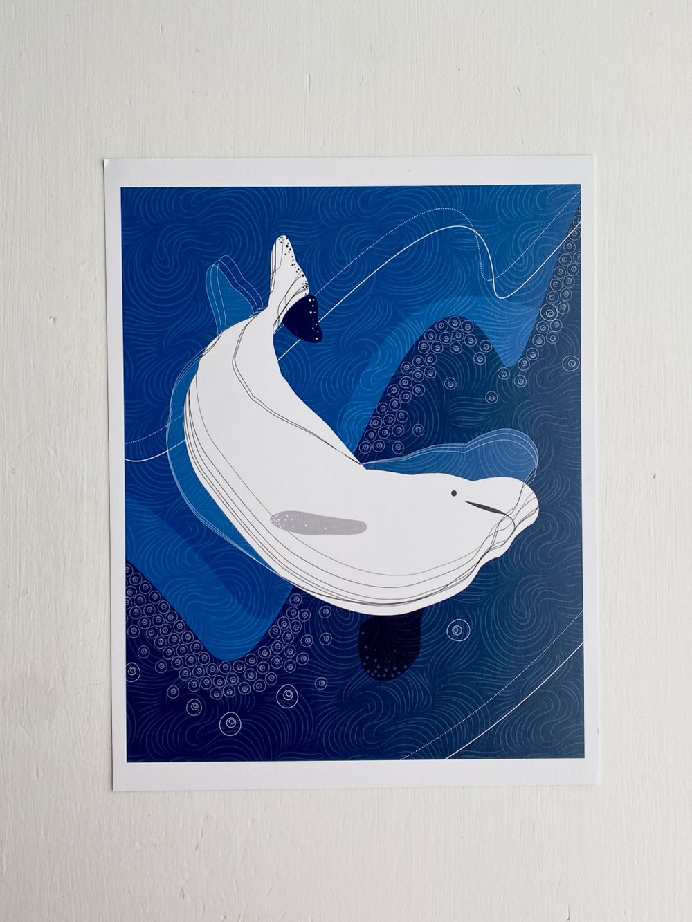 Beluga Whale Art Print - White and Blue
